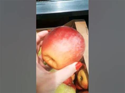 Шикарные яблоки в Магните🍎🍏 - YouTube