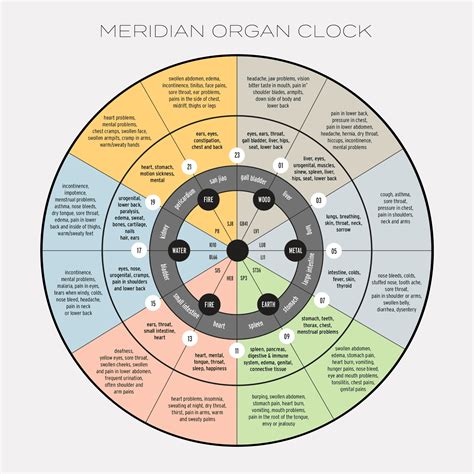 Chinese Meridian Theory Dubai | Dr Roze Biohealth Clinic