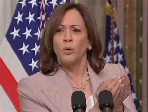VP Kamala Harris's Campaign Tries To Rewrite Her Record
