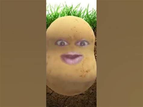 funny video potato  lockdown youtube