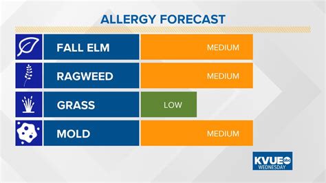 After a late start, ragweed season is here | kvue.com