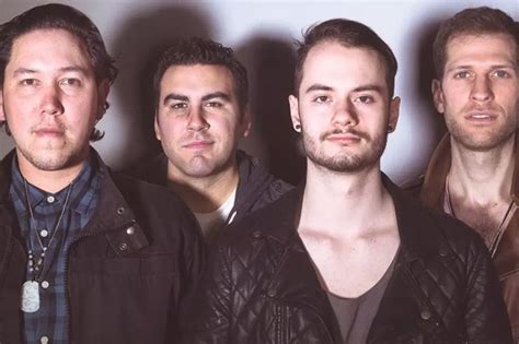 exclusive  ayoh lion   lamb