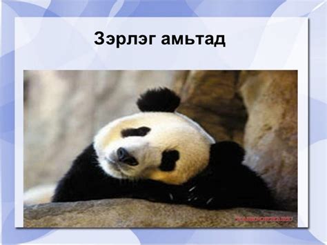 бага ангийн багш б наранжаргал 4