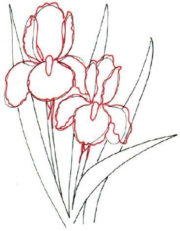 как нарисовать ирис | Iris drawing, Flower drawing, Flower drawing ...