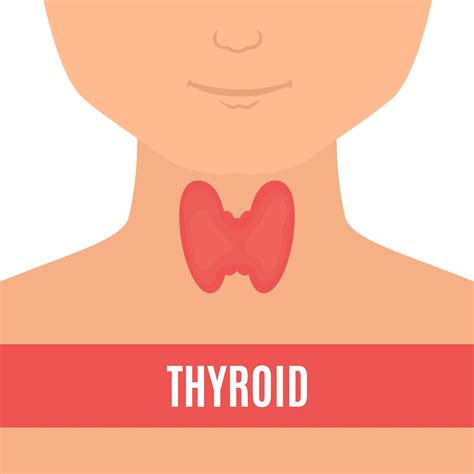 Thyroid Disease in Kids: Symptoms, Diagnosis and Treatment