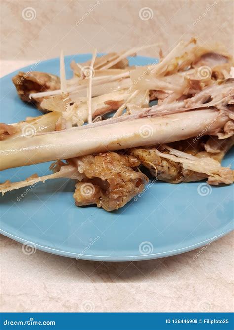 Bones of turkey stock photo. Image of bones, gnawed - 136446908