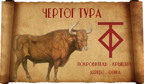 Чертог Тура: значение, описание, оберег и покровитель