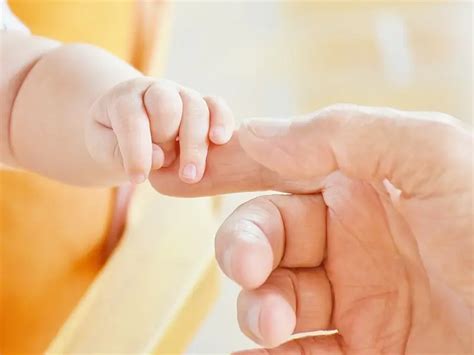 Неутрофили (NEU) – високи, ниски неутрофилни гранулоцити | ArsMedica.bg