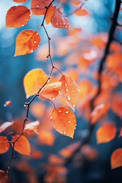 Premium AI Image | Rainy autumn day nature aesthetic background with ...