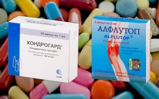 Хондрогард или Алфлутоп – что лучше? Что эффективнее? Отзывы. Состав ...