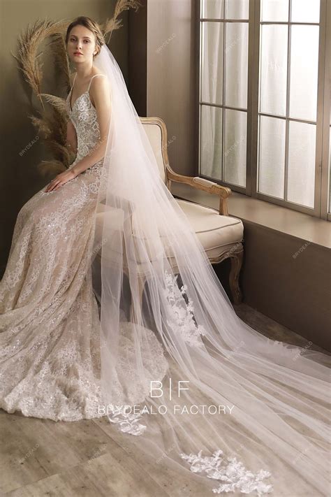Gorgeous Lace Two Tiered Cathedral Length Wedding Veil