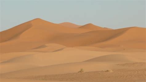 images landscape desert dune grassland plateau emirates