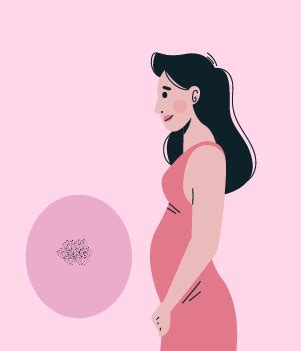 Pregnancy: a week by week guide
