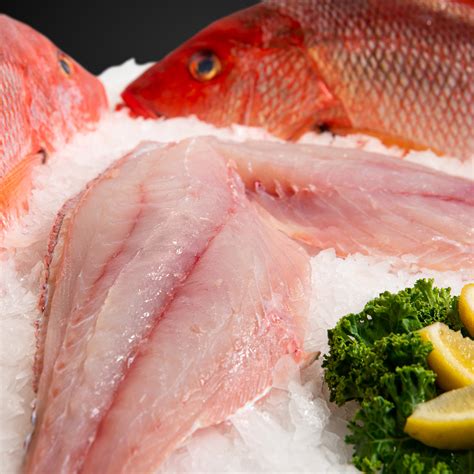 Red Snapper Fillet – New England Wholesale