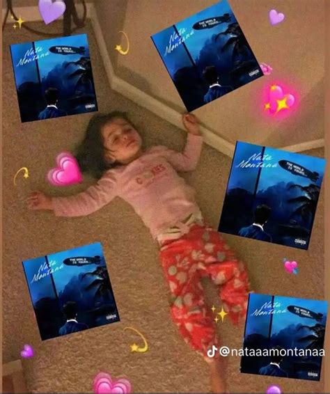 Nata montana | Cute memes, Funny picture jokes, Music album art
