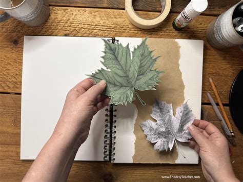 Drawing a Leaf - The Arty Teacher
