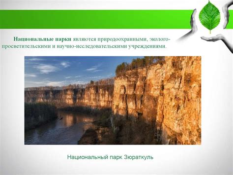 Особо охраняемые природные территории и их значение в охране природы ...