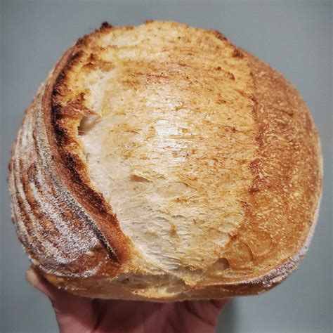 SOURDOUGH LOAVES | Sam's Bread