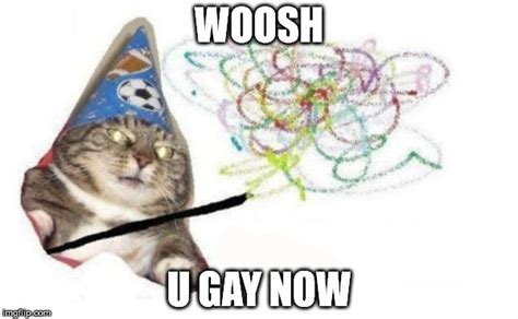 Woosh cat - Imgflip