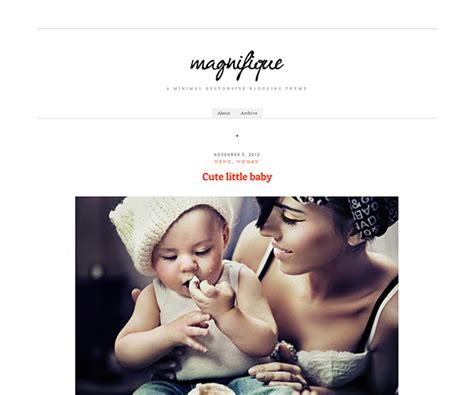 Magnifique wordpress theme - Minimal responsive blog theme