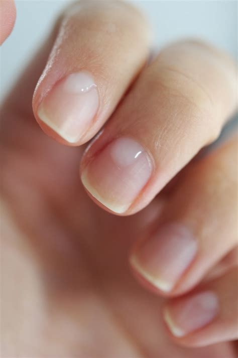 Streets Ahead Style: Canadian Nail and Beauty Blogger: How to tame ...