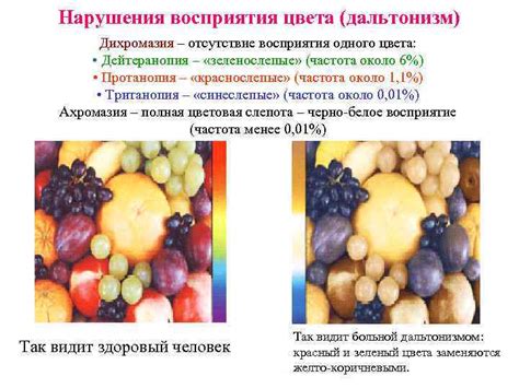 Тританопия: что такое, причины, особенности и методы диагностики