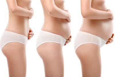 What Are the 3 Stages of Prenatal Development? | SneakPeek