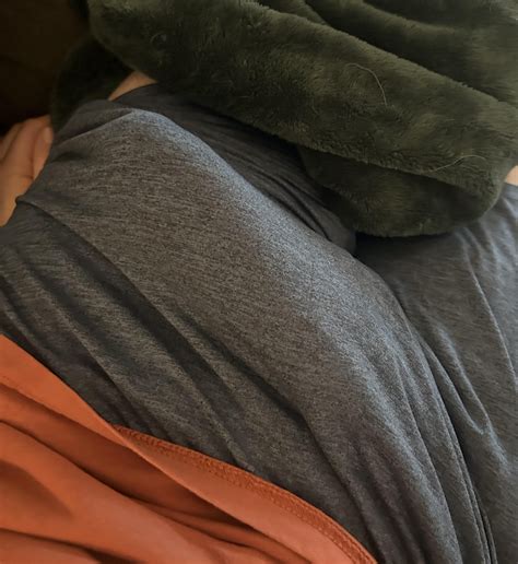 The Nala Fitness Leak: What Experts Are Saying Now. Image 4