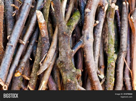 Twig Stick