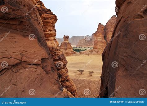 Nature in the Desert Close Al Ula, Saudi Arabia Stock Image - Image of ...