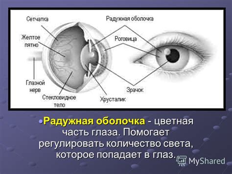 Презентация на тему: "Урок физики в 9 классе Улыбнёмся друг другу ...