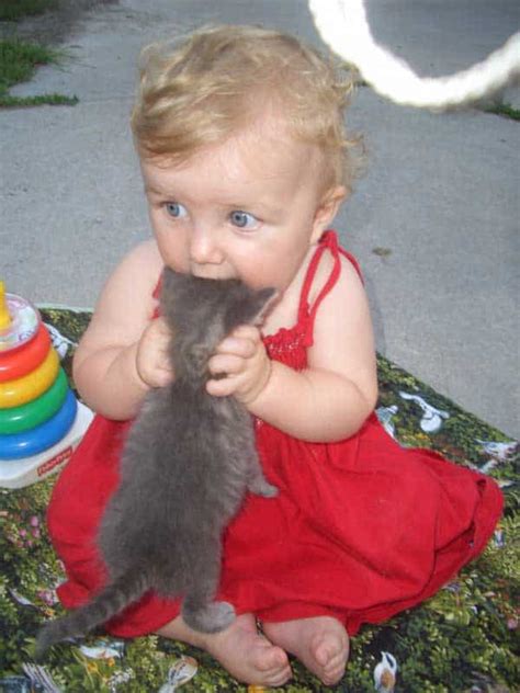 The 20 Funniest Pictures Of Babies With Cats