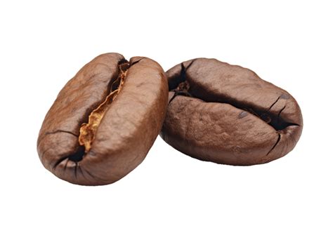 Close-up Two roasted coffee beans on transparent background 32477410 PNG