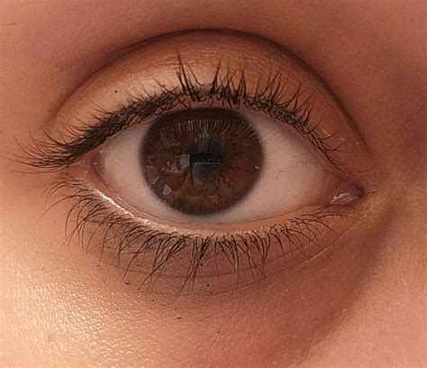 What is my eye shape? : r/eyes