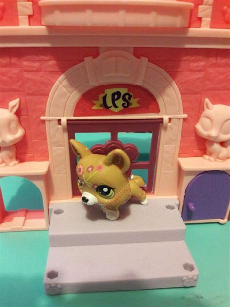 Lps Corgi | Wiki | LPS Amino