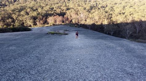 Bald Rock Summit - Aussie Bushwalking