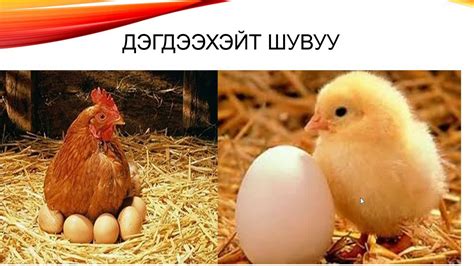 Шувуудынтухай - YouTube