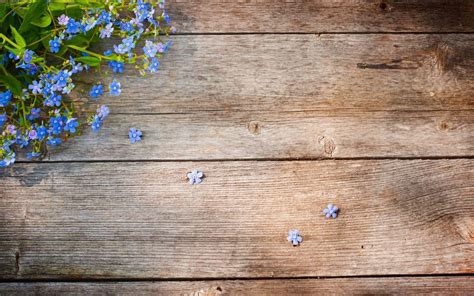Tabletop Wallpapers - Top Free Tabletop Backgrounds - WallpaperAccess