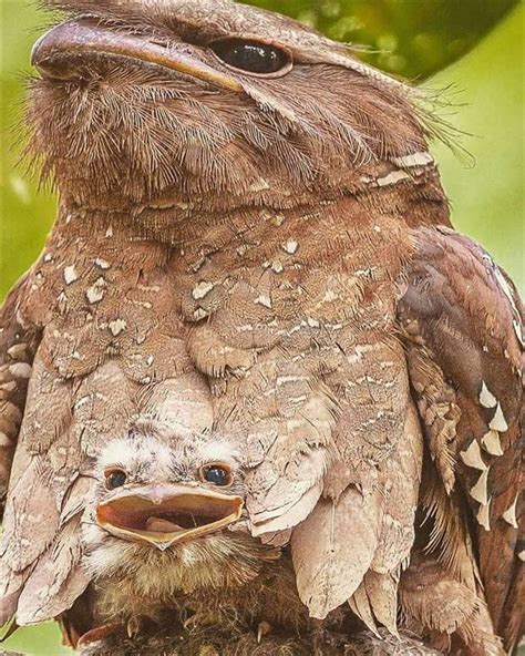 Awesome Pictures You Shouldn’t Miss #54 | KLYKER.COM