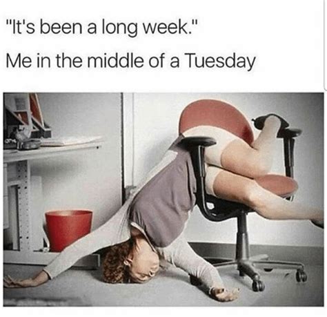 15 Happy Tuesday Memes - Best Funny Tuesday Memes