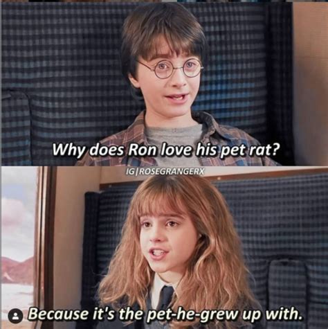Memes Harry Potter 1