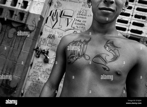 A member of the Mara Salvatrucha gang (MS-13) shows off his gang tattoos in the prison of ...