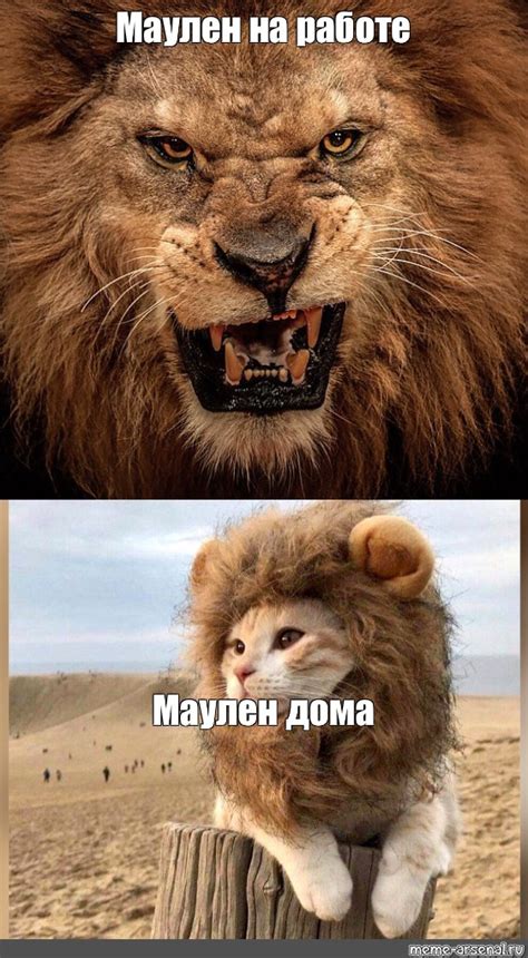 Создать мем "angry lion, лев смешной, лев" - Картинки - Meme-arsenal.com