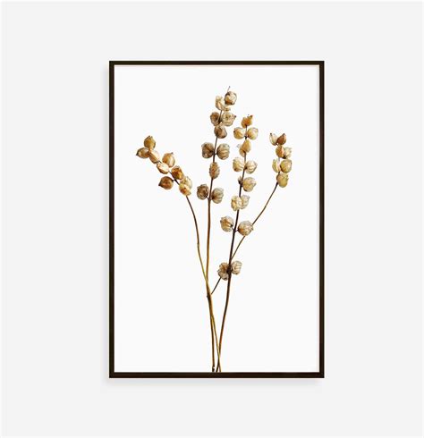 Botanical Wall Art Flower Wall Art Dried Flowers Print - Etsy