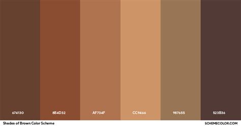 Diffe Brown Shades - Infoupdate.org 