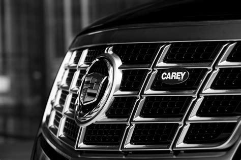 Carey International | LinkedIn