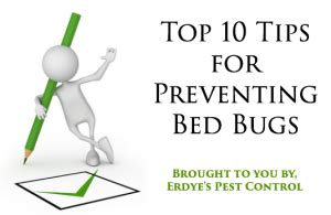 Top 10 Tips for Preventing Bed Bugs From Entering Your Home or Picking ...