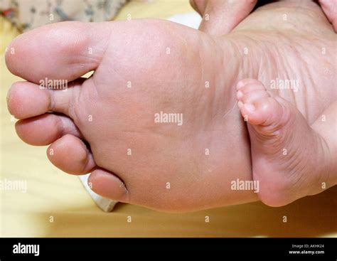 young infant foot  res stock photography  images alamy