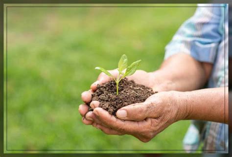 Soil Fertility: How you can Improve it - Al Ardh Alkhadra