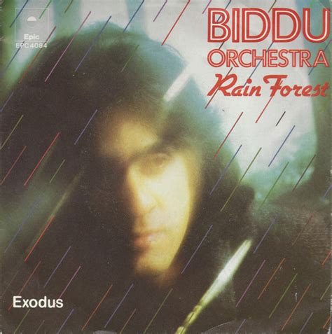 Biddu Orchestra - Rain Forest | Releases | Discogs